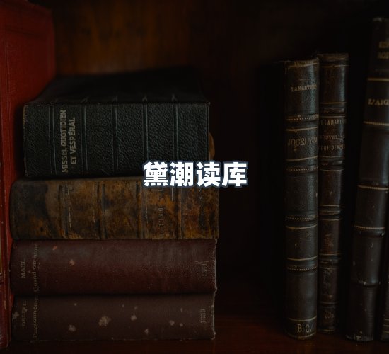 关于黛潮读库